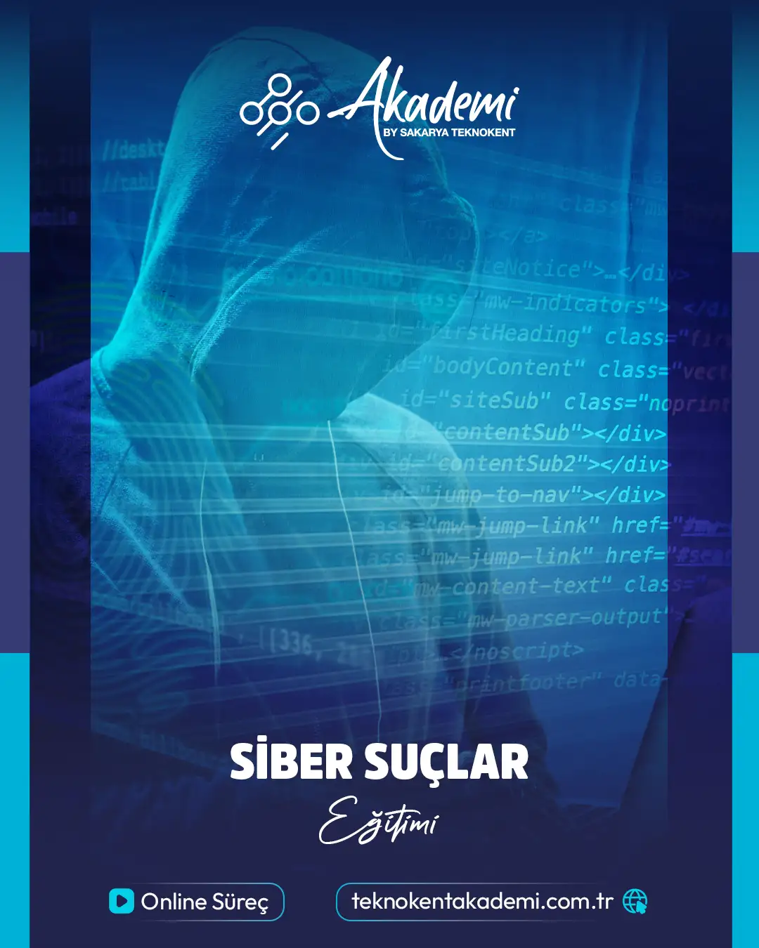 Siber Suçlar